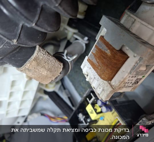 רכיבים פנימיים ומשאבת ניקוז של מכונת כביסה במהלך תיקון
